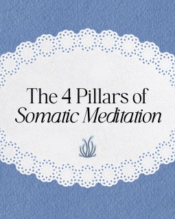 Your nervous system isn’t asking you to do more. It’s asking you to slow down and notice.

These four somatic practices can help you reconnect with your body in a way that feels gentle, supportive, and manageable:

🌿 Orient – Notice your surroundings and come back to the present moment.

🤍 Track – Observe sensations in your body with curiosity instead of judgment.

🌊 Pendulate – Move your attention between discomfort and places that feel calm or neutral, helping your nervous system build flexibility.

✨ Titrate – Take things one small step at a time. Healing doesn’t have to be overwhelming to be effective.

Remember: the goal isn’t to force yourself to feel better. It’s to create enough safety that your body can begin to heal.

Which of these feels most helpful for you right now? 

#SomaticExperiencing #SomaticHealing #NervousSystemRegulation #MentalHealth
